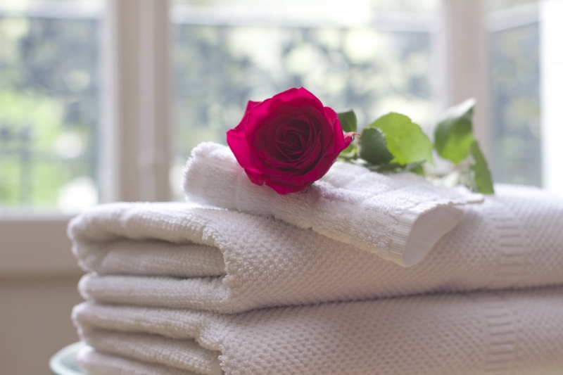 chambre-hote-ST MARTIN D ENTRAUNES-min_towel_rose_clean_care_salon_spa_white_bath-731641